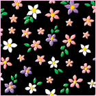 Blush Petals