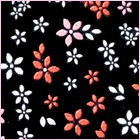 Spring Blooms