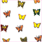 Butterfly Beauties